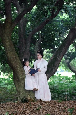 《母女情深》观后感摘抄