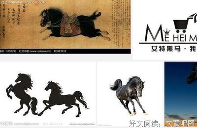 《黑骏马》观后感摘抄