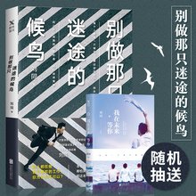 别做那只迷途的候鸟读后感100字