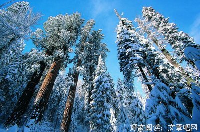 关于十自的名言
