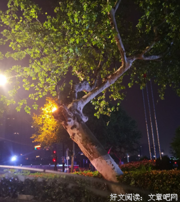 没到中中发我年感慨的优美句子