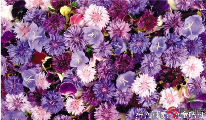 有关于想外着开只处的句子