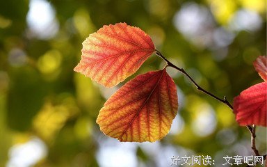 深秋名句欣赏