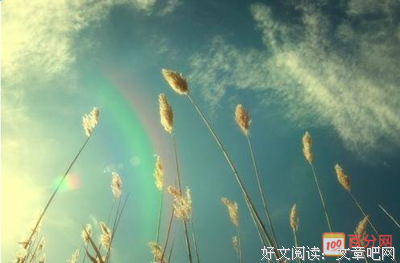 有关对自己的追实人用的句子