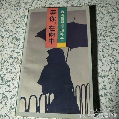 等你，在雨中经典名句
