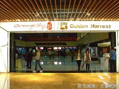《一桌好宴》经典观后感有感