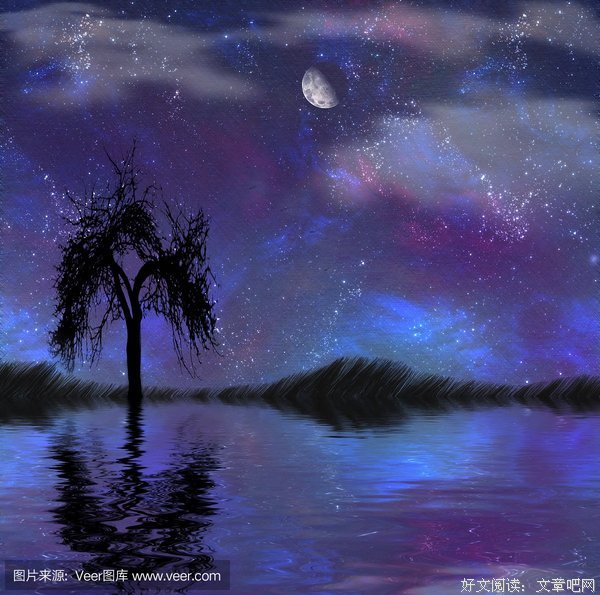 《魔毯》观后感100字