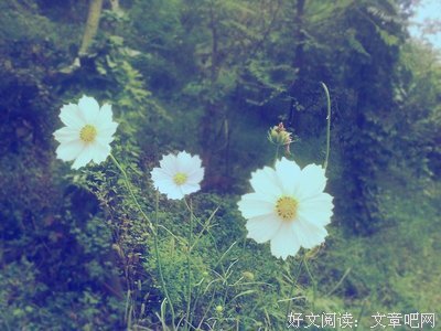 关于尼采句集的优美句子