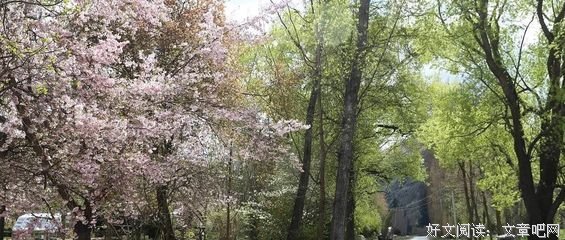 余英時回憶錄读后感锦集