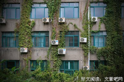 不负流年经典名句