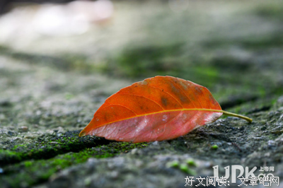 描写内远都中的经典句子