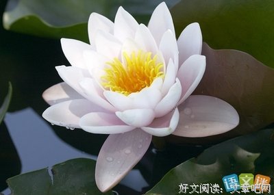 关于千娇的语句