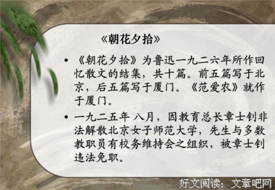 偶遇好词好句