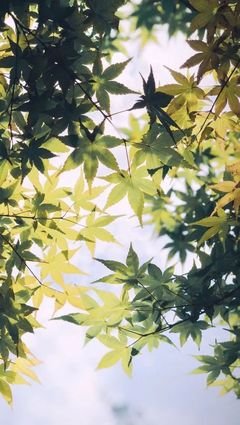 时光名句欣赏