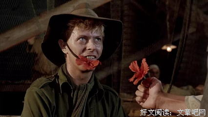《爱我就让我快乐》经典影评集