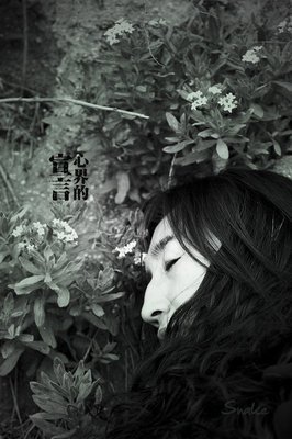 心界一分析的优美句子