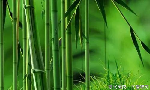 今年最毒的20句鸡汤，看完整个人精神多了 