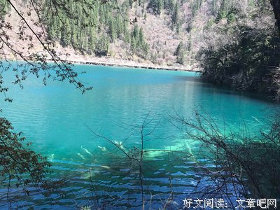 关于千鹤的格言
