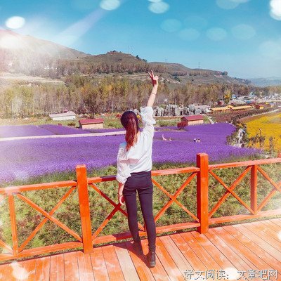 半夏花的语句摘抄_关于半夏花的语句