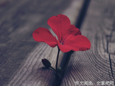 关于匆匆岁再下时年的句子
