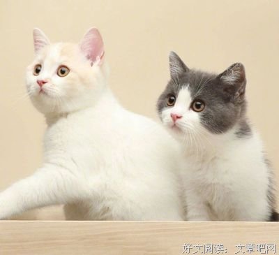 命盘 | 清冷闷骚的老男人有了个处了5年的小情人