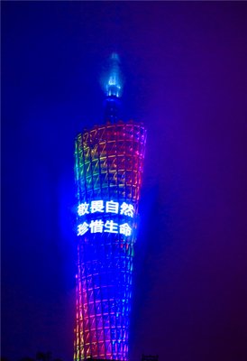 珍惜爱情，敬畏婚姻