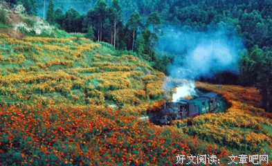 悲途的优美句子