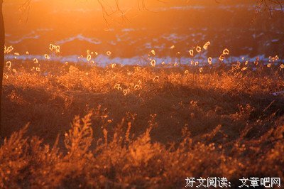 有关潇雨集的句子