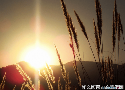 感动，经典的句子