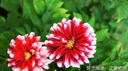 一旦入心，此生难忘的句子