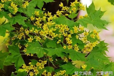 上的句子