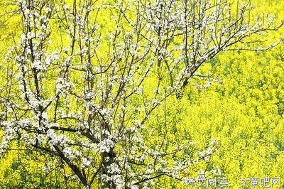 最新的明前雨后的名言