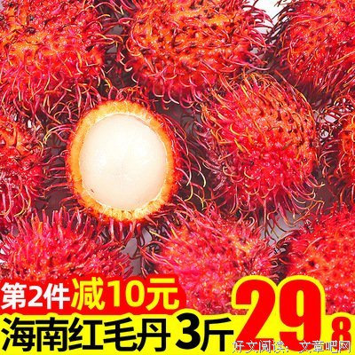 最新的《红牡丹》名句欣赏