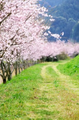 人生有很多“重要”的事，但 “重点”你有找到吗？