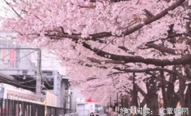 散句的优美句子