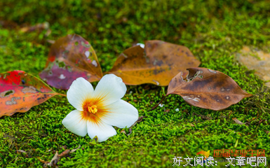 关于有多少梦可以重来的句子