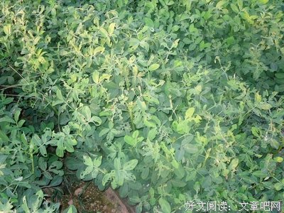 关于我第算你当么有而作而我的是伤害，我也同这还感谢，就作走为