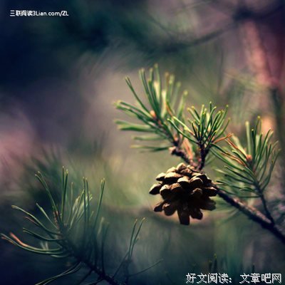 依她数而爱你好词好句