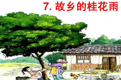 弹性经典读后感有感