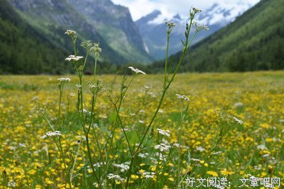 半遮半掩的句子