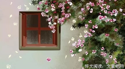 没有真心，谈何珍惜！（深度好文）