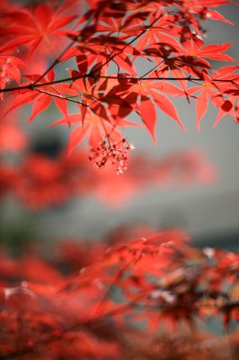 小伤感经典的句子