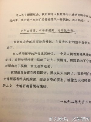 自己喜欢的句子