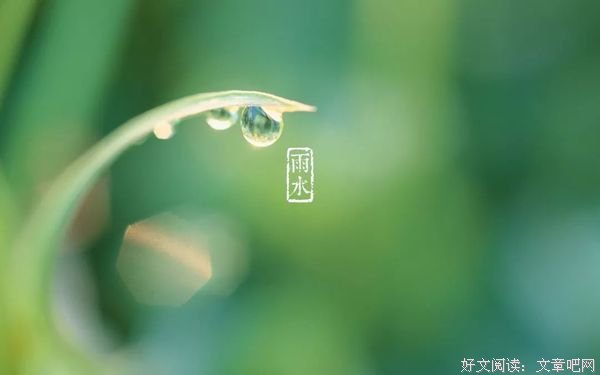 愿与你相逢一场春天的烟雨