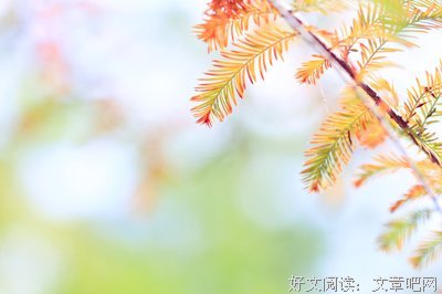 伊丽莎白·詹宁斯的名言_关于伊丽莎白·詹宁斯的名言