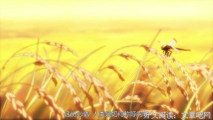余生，做好这三件事，就是最大的善良