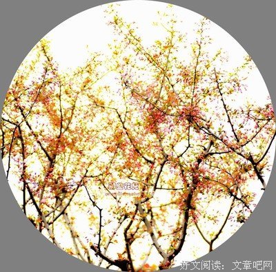 摘抄经典的句子