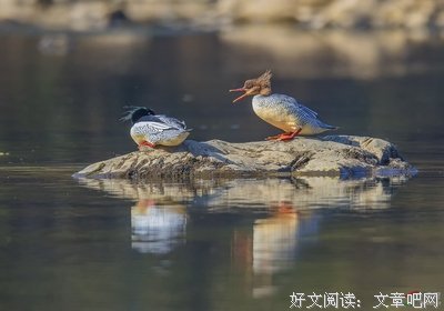 臭不要脸的！哪有你这么说话的！