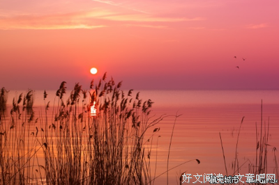 只为喜欢句子大全