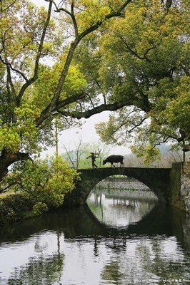 回不去，永人过归迹经典名句